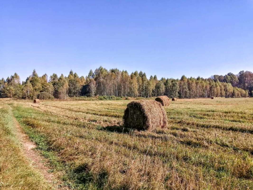 ���� ����� ���������  �� PhotoGeek.ru #������ ��� �������