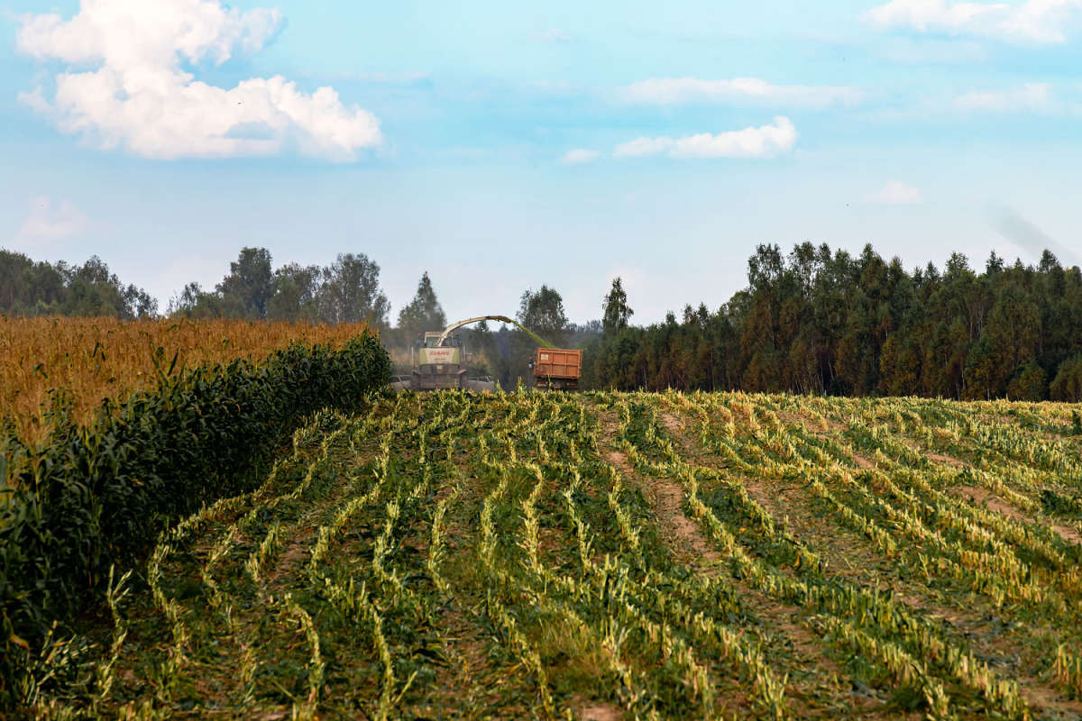 ������ �������� ����� ���������  �� PhotoGeek.ru #������ ��� ������� #�������� ����������