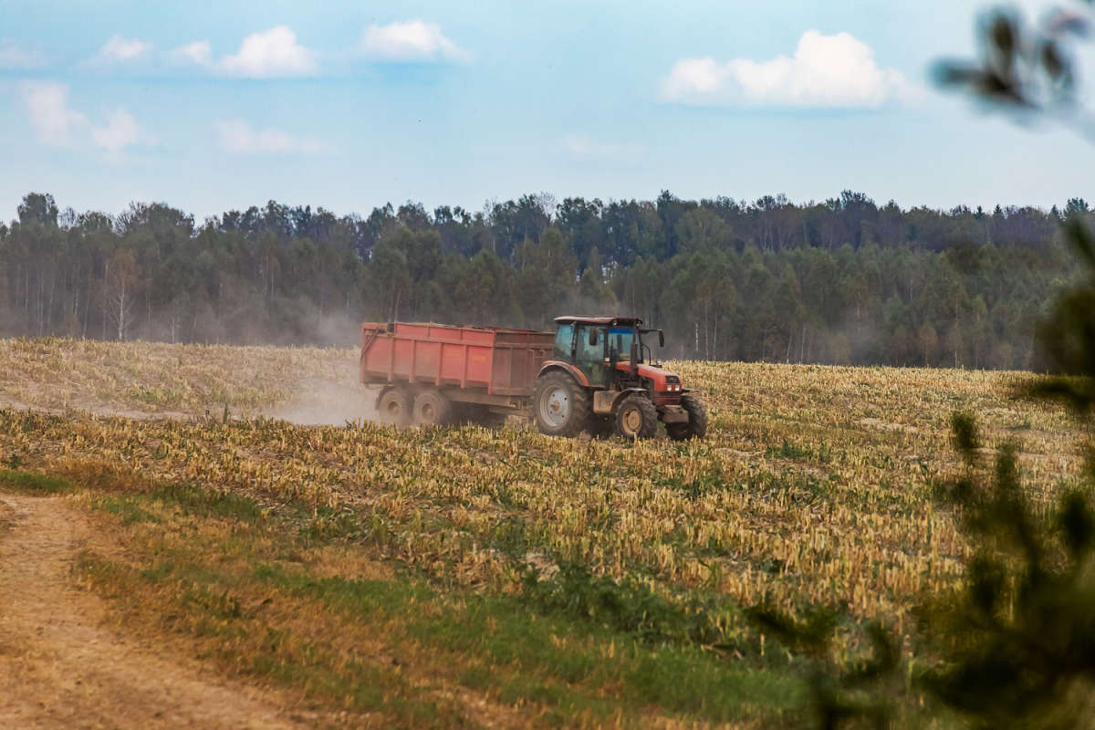 � ���� ����� ���������  �� PhotoGeek.ru #������ ��� ������� #�������� ����������