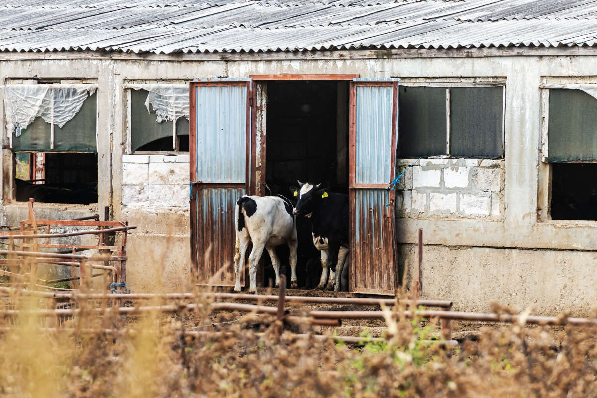 ������ ����� ���������  �� PhotoGeek.ru #�������� ����������