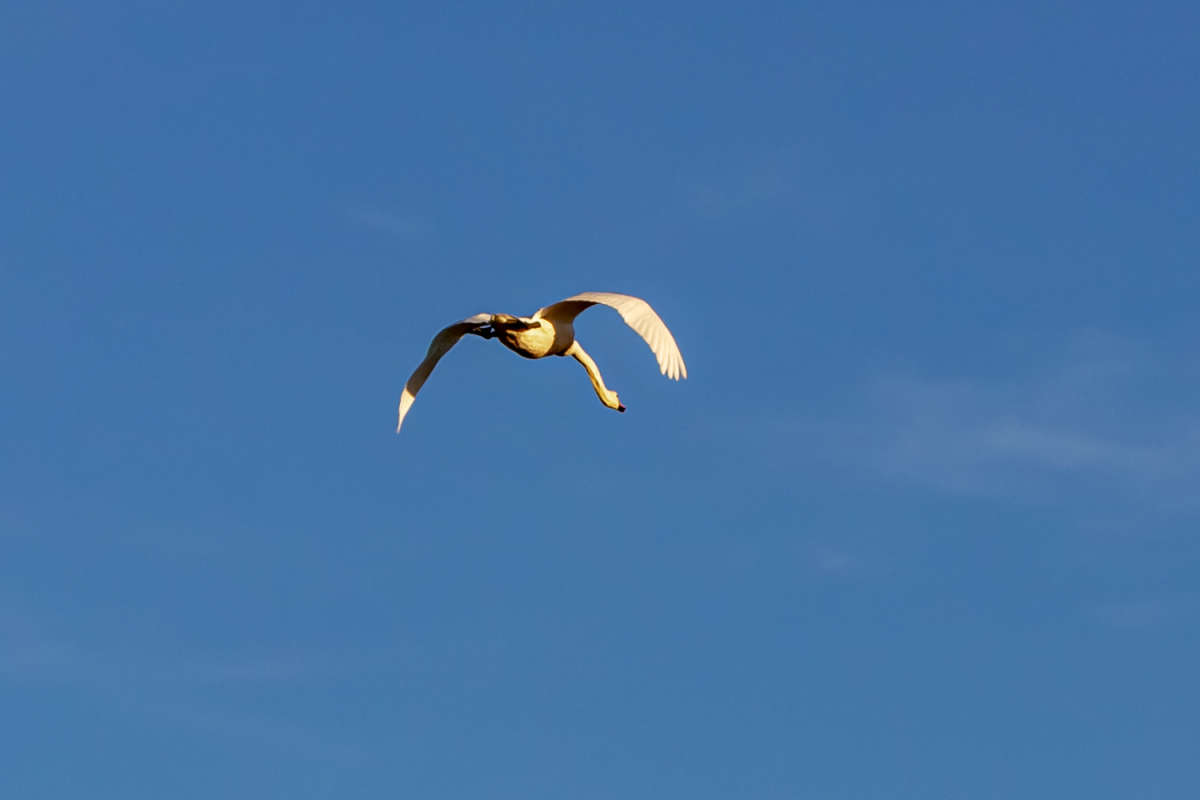 ������ ����� ���������  �� PhotoGeek.ru #�������� ���