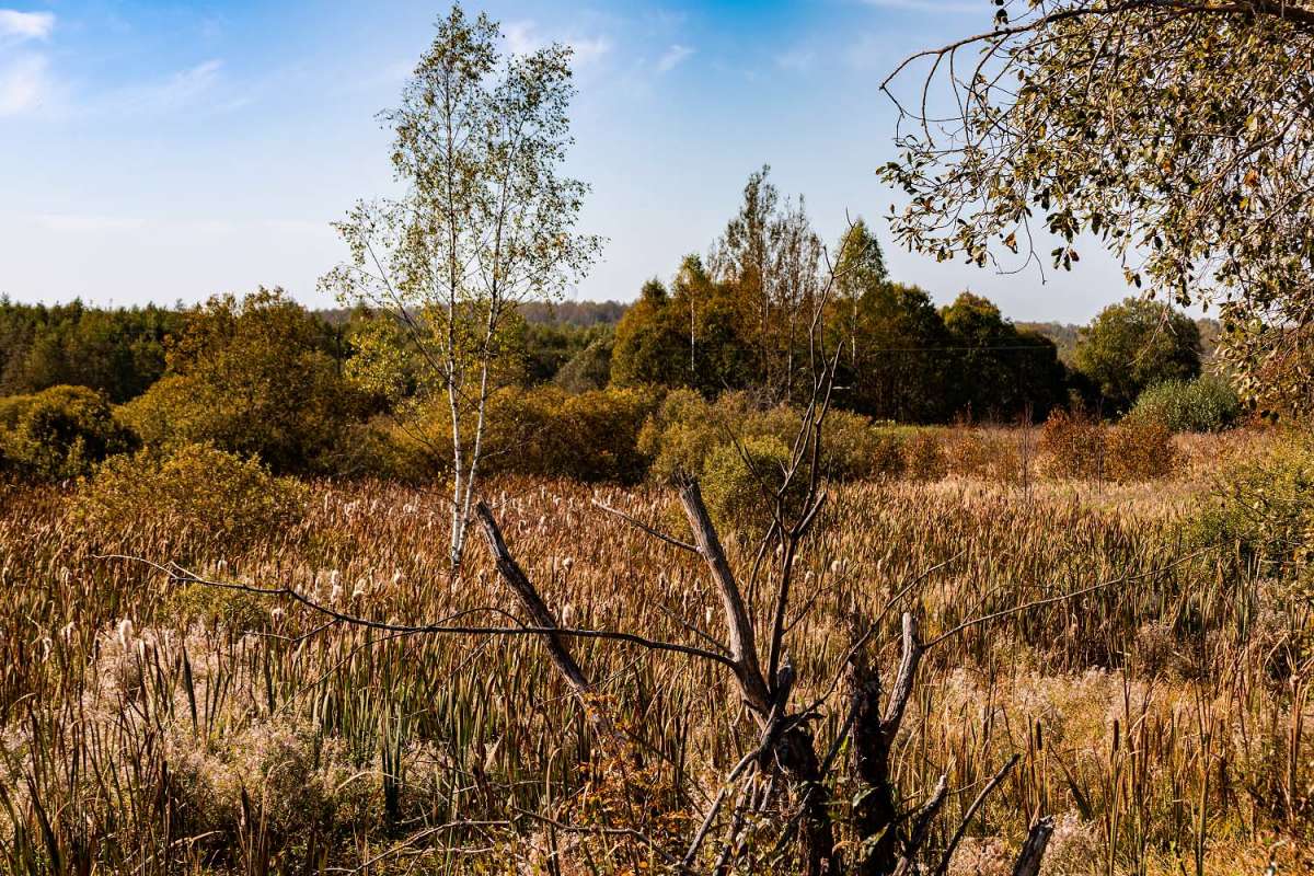 �����,�����... ����� ���������  �� PhotoGeek.ru #������ ��� �������