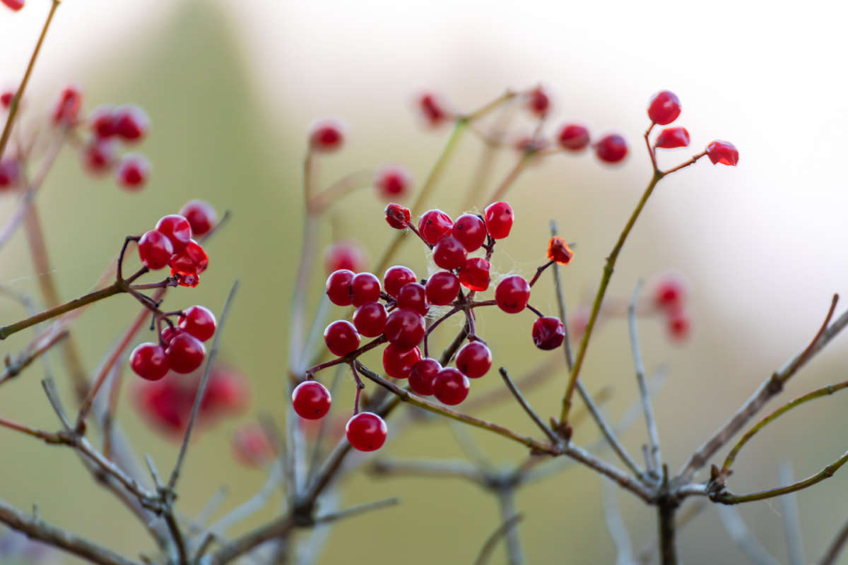 ������ ����� ���������  �� PhotoGeek.ru #������ ��� �������