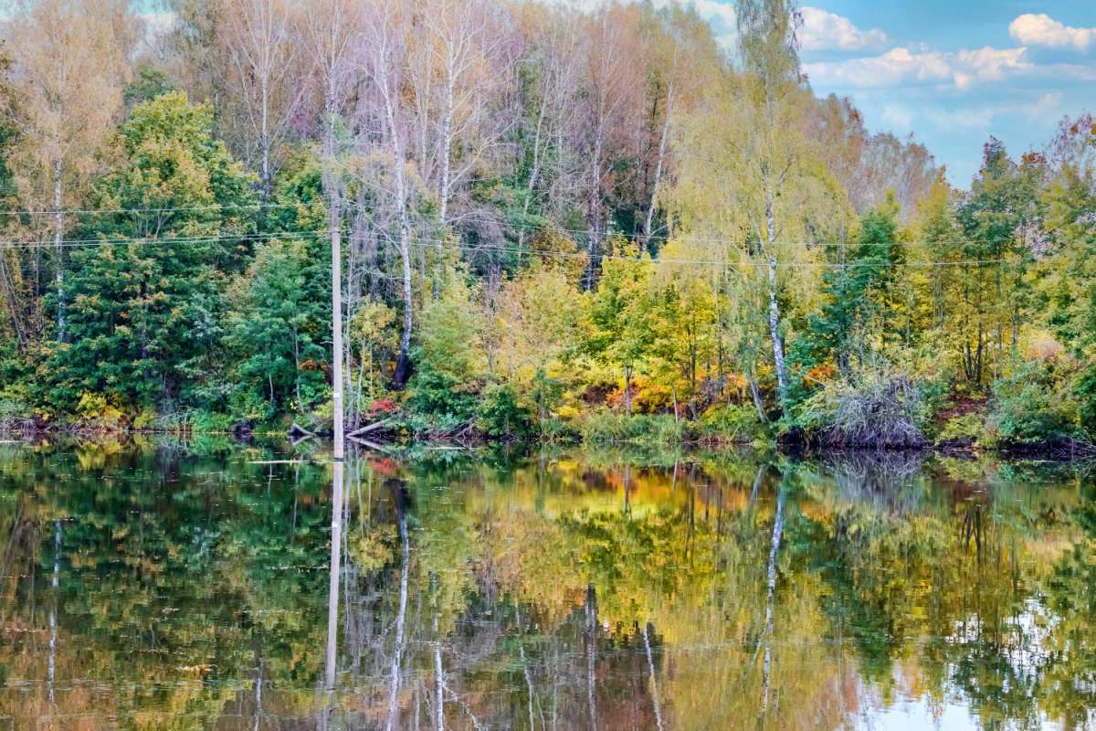 ������� ����� ���������  �� PhotoGeek.ru #������ ��� �������