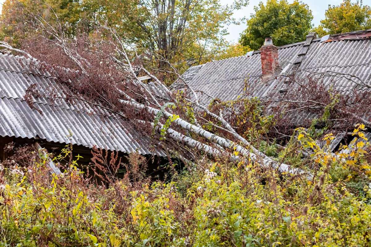 ������� ����� ���������  �� PhotoGeek.ru #�������� ����������