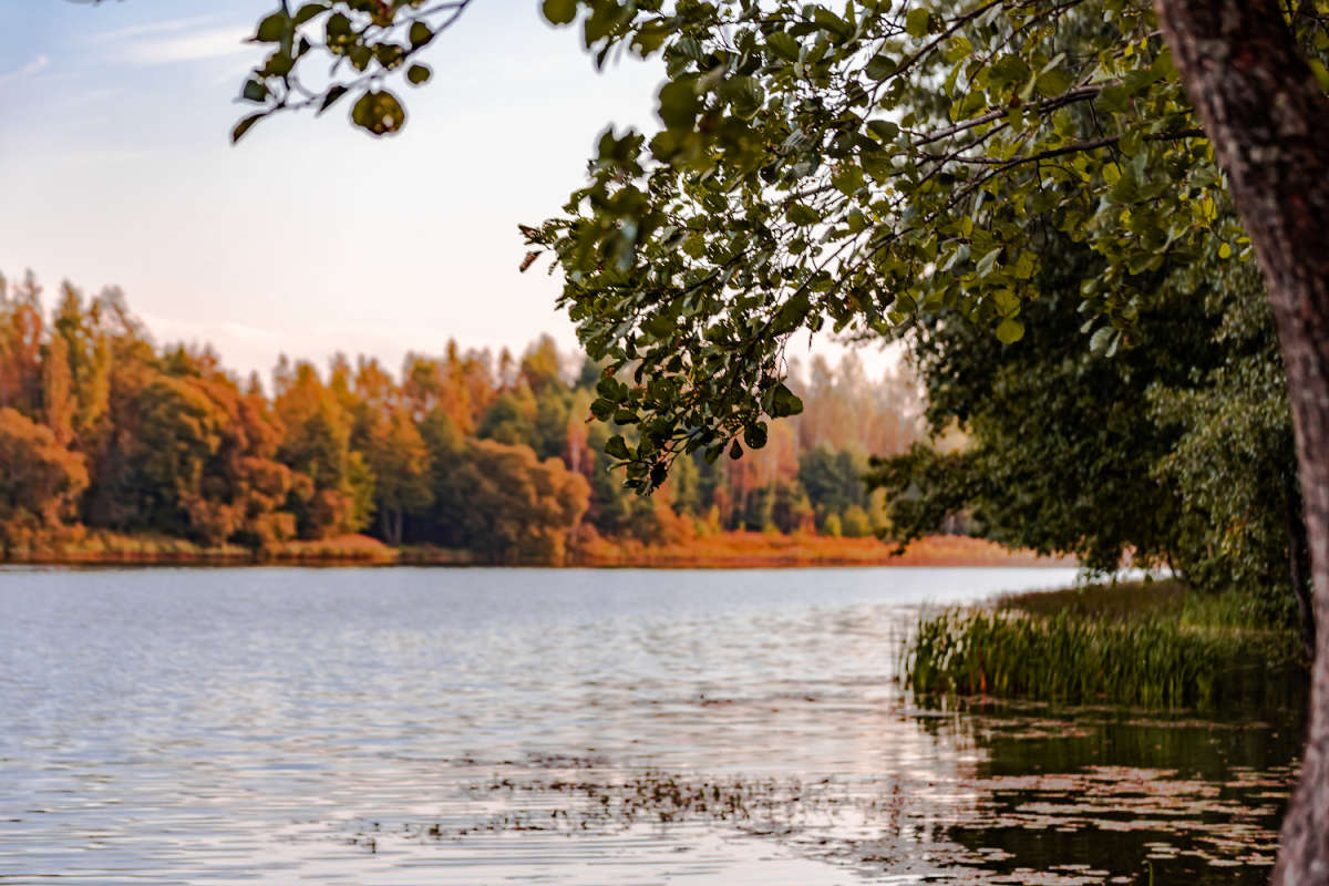 ���� ��������� ����� ���������  �� PhotoGeek.ru #������ ��� �������