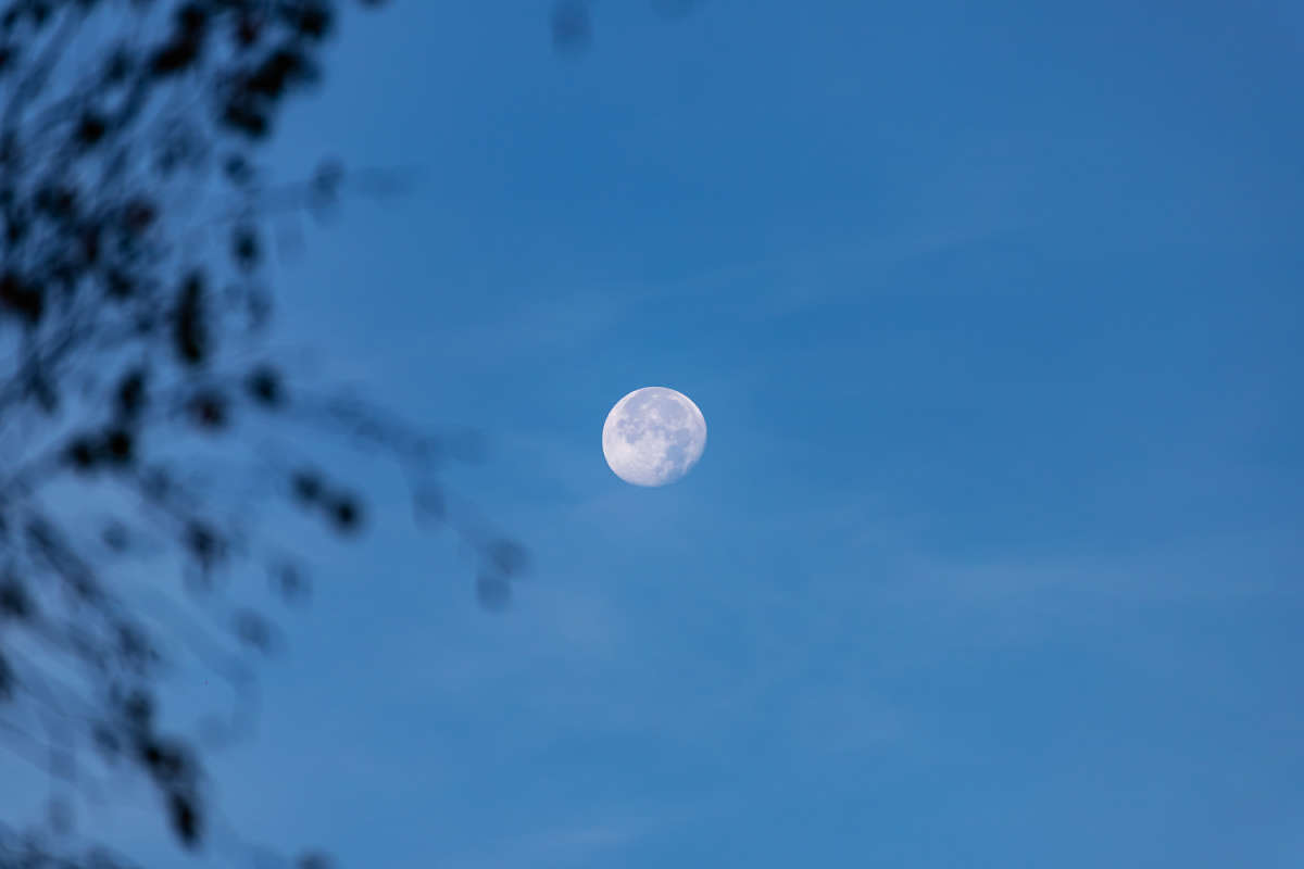 � ���� ����� ���������  �� PhotoGeek.ru #������ ��� �������