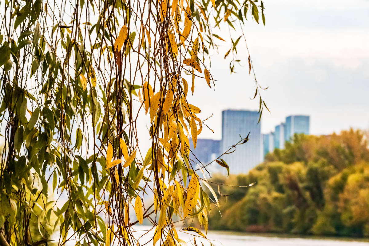 ��� ����� ���������  �� PhotoGeek.ru #����� #������ ��� �������