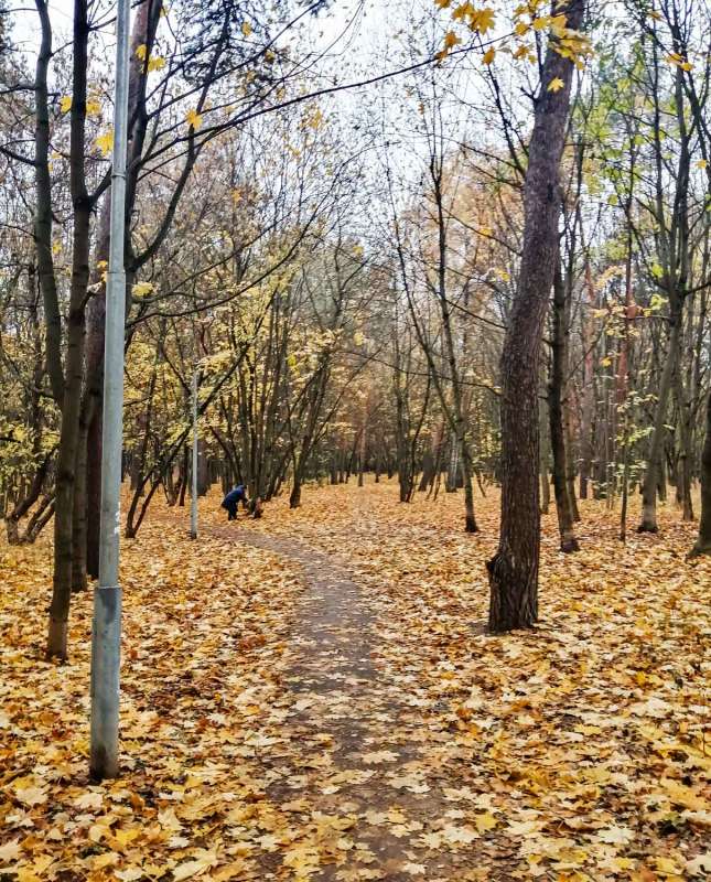���� ����� ���������  �� PhotoGeek.ru #����� #������ ��� �������