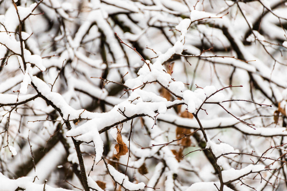 �� ����� ����� ���������  �� PhotoGeek.ru #������ ��� �������