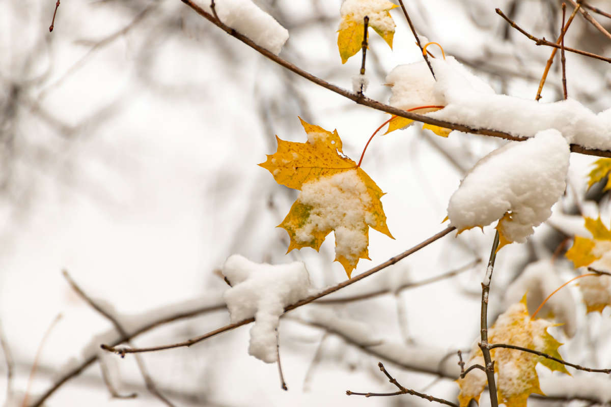 ���� �������� ����� ���������  �� PhotoGeek.ru #������ ��� �������