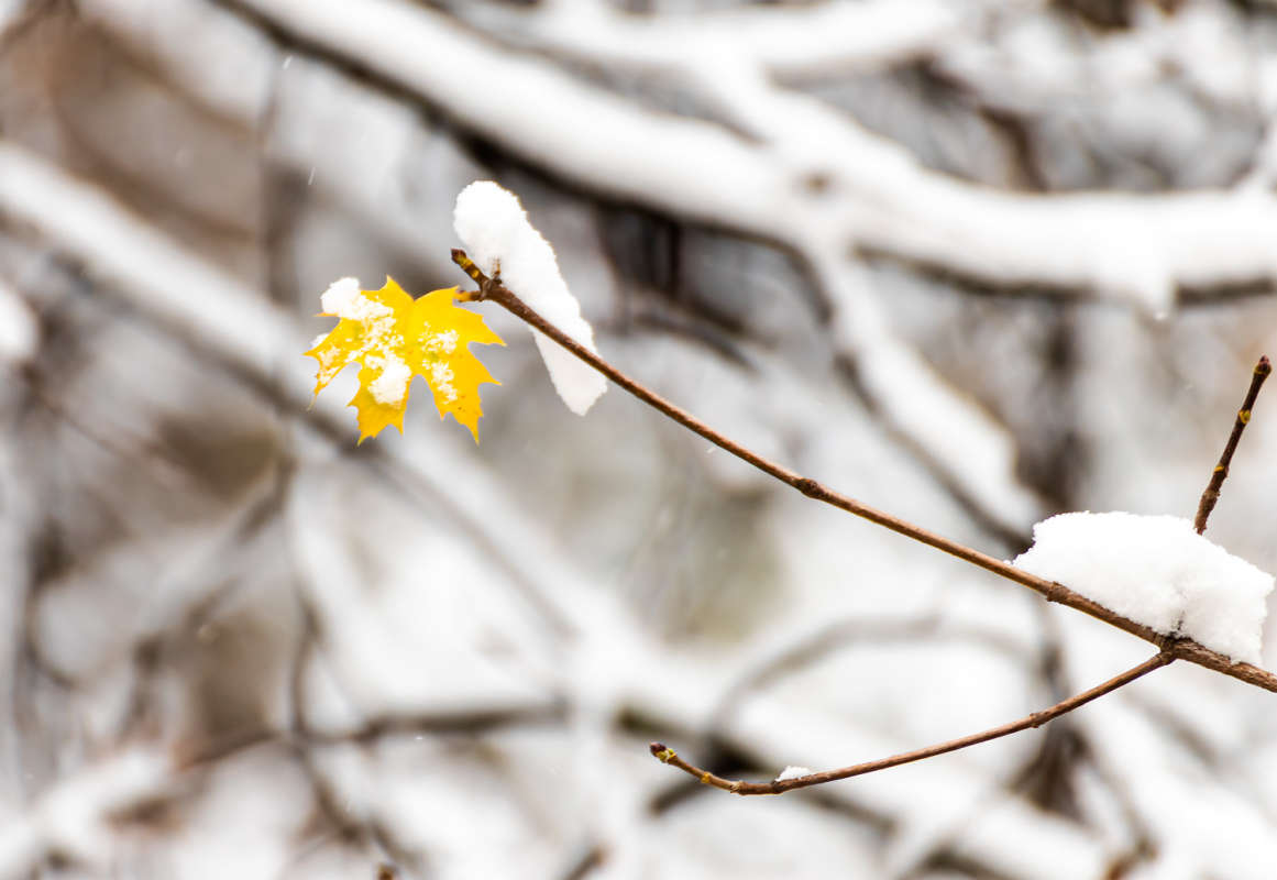 4 ������ ����� ���������  �� PhotoGeek.ru #������ ��� �������