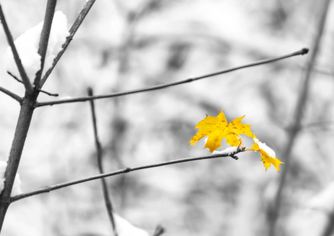 ������ ���� ����� ���������  �� PhotoGeek.ru #������ ��� �������