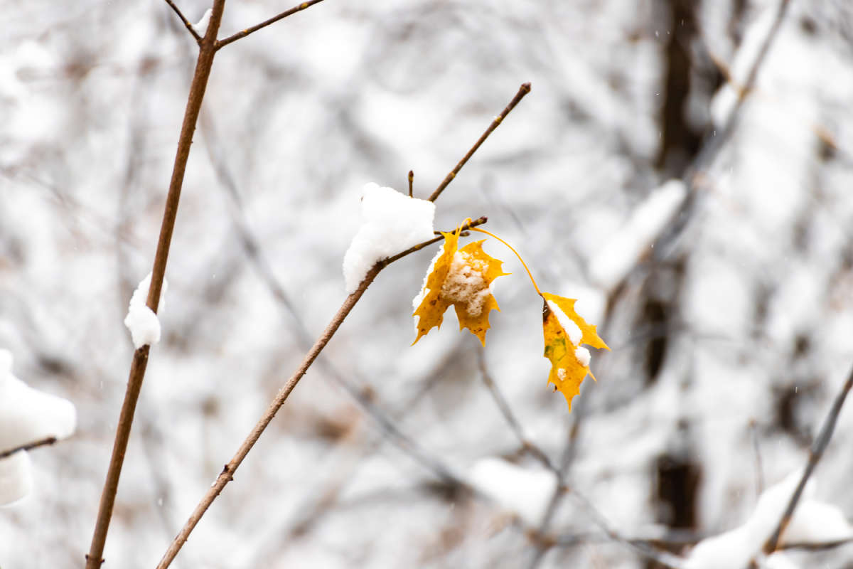 ��� ������ ����� ���������  �� PhotoGeek.ru #������ ��� �������