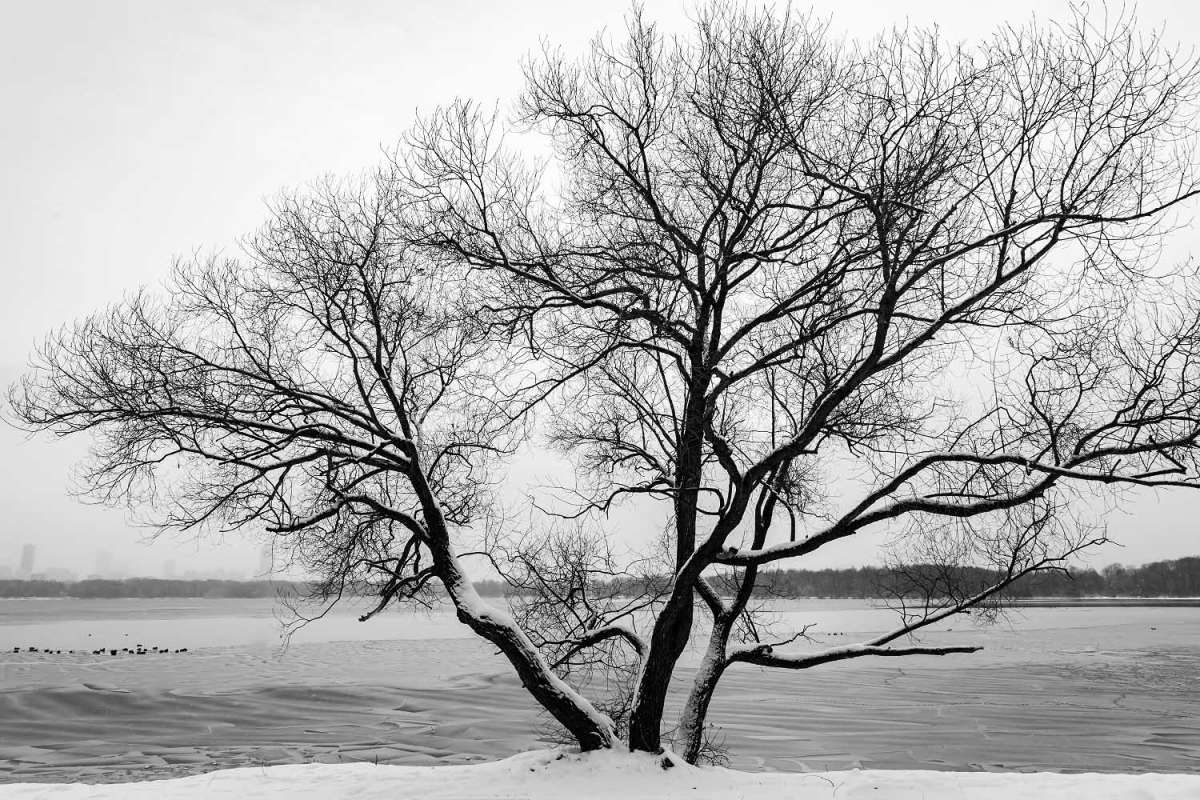 �� ������ ����� ���������  �� PhotoGeek.ru #������ ��� �������