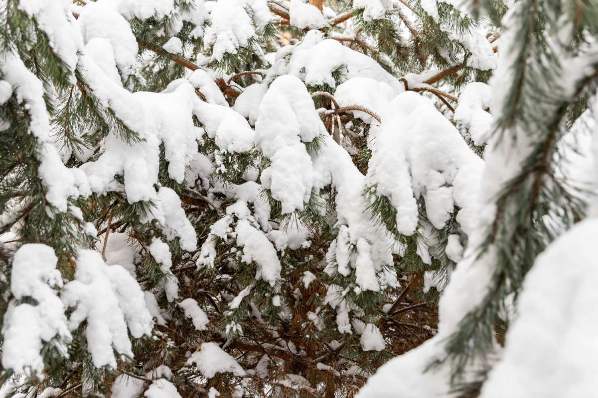 ����� ����� ���������  �� PhotoGeek.ru #������ ��� �������