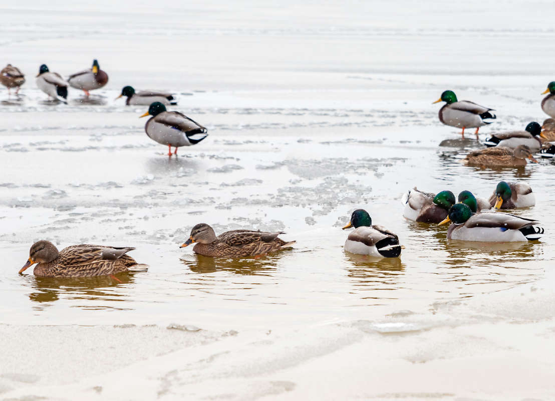 � ������� ����� ���������  �� PhotoGeek.ru #�������� ���
