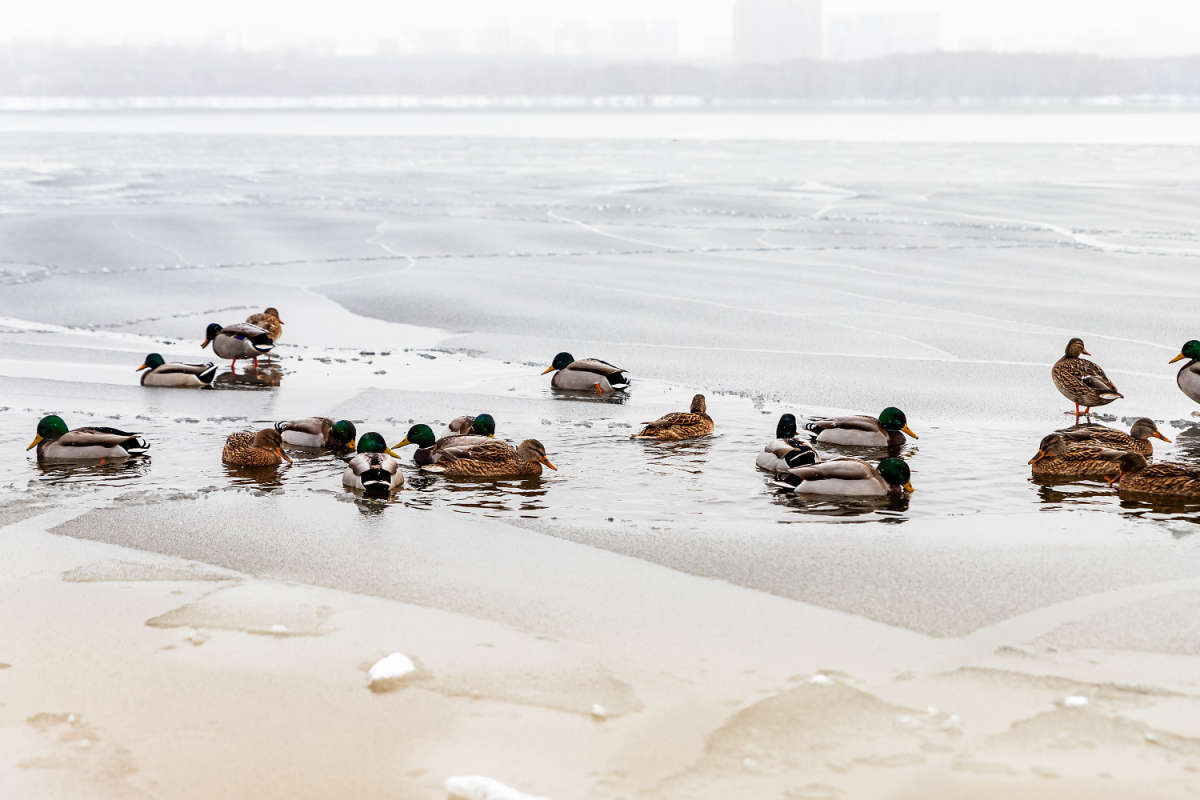 ���������� ����� ����� ���������  �� PhotoGeek.ru #�������� ���