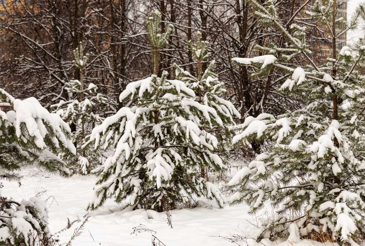 ������� ����� ���������  �� PhotoGeek.ru #������ ��� �������