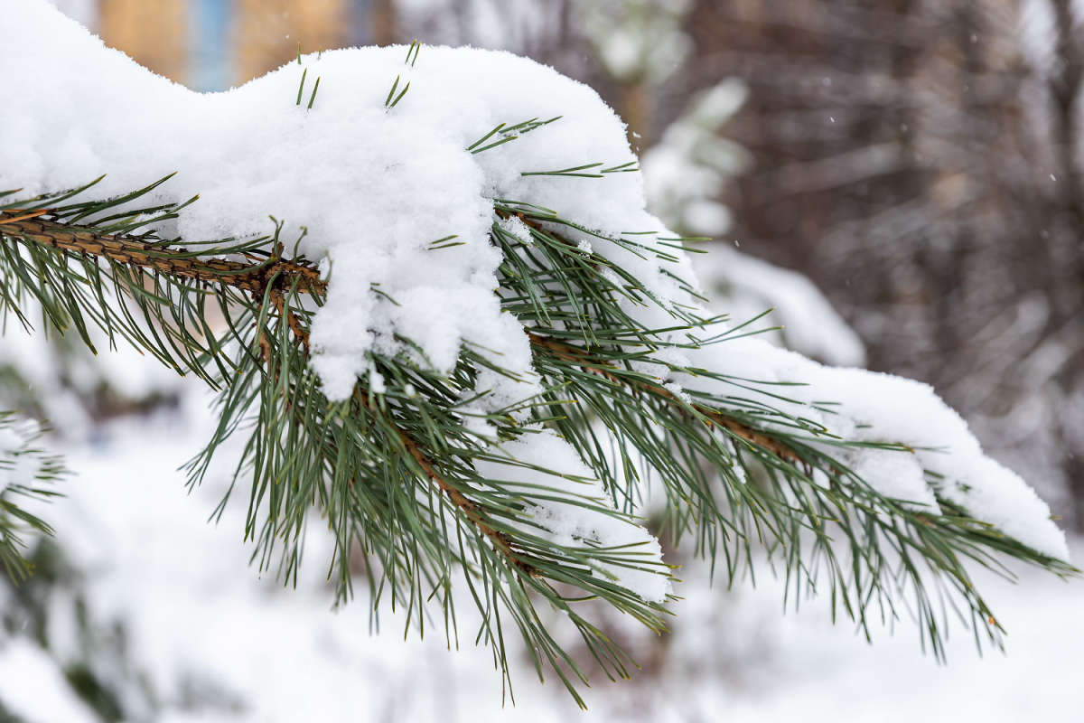 ��� ������ ����� ���������  �� PhotoGeek.ru #������ ��� �������