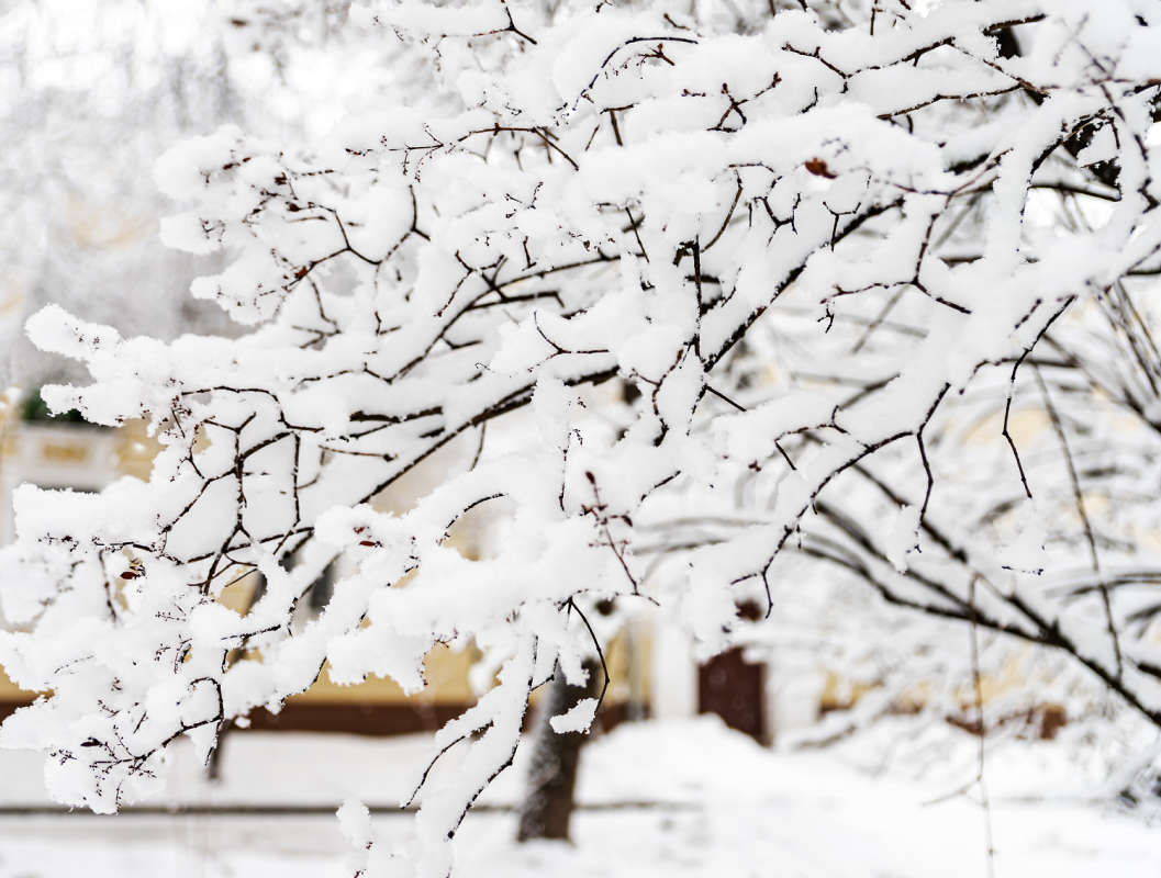 ������. 31 �������. ����� ���������  �� PhotoGeek.ru #����� #�������� ����������