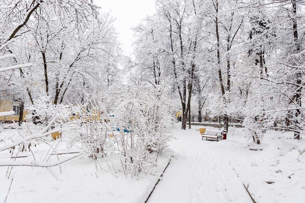 ������. 31 �������. ����� ���������  �� PhotoGeek.ru #�����