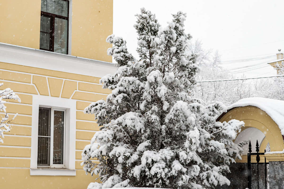������. 31 �������. ����� ���������  �� PhotoGeek.ru #�����