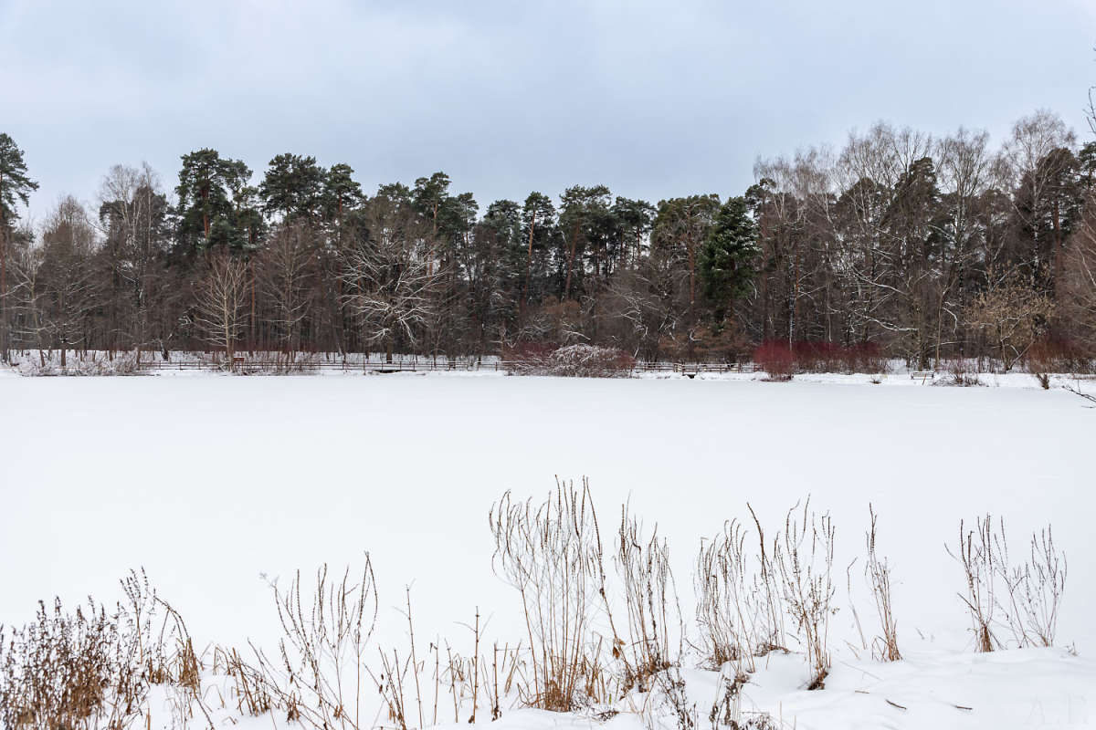 ����� ��������� ����� ���������  �� PhotoGeek.ru #������ ��� �������