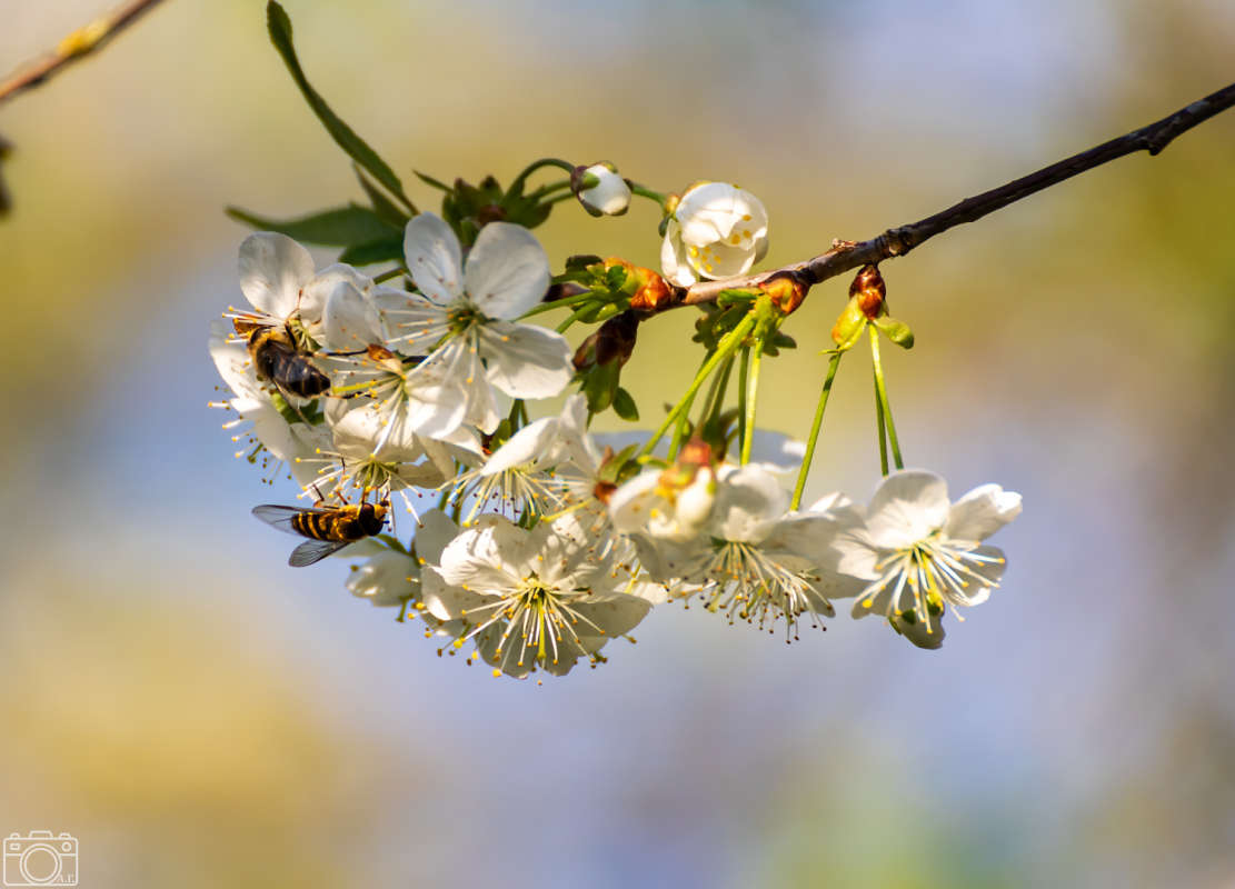����� ����� ���������  �� PhotoGeek.ru #������ ��� �������