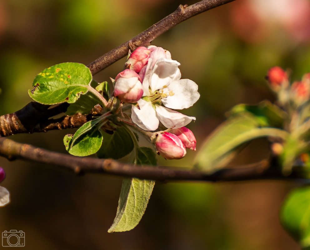 ������ ����� ���������  �� PhotoGeek.ru #������ ��� �������