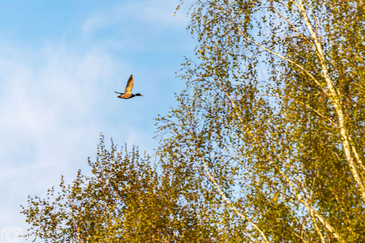 ���� ����� ���������  �� PhotoGeek.ru #�������� ���