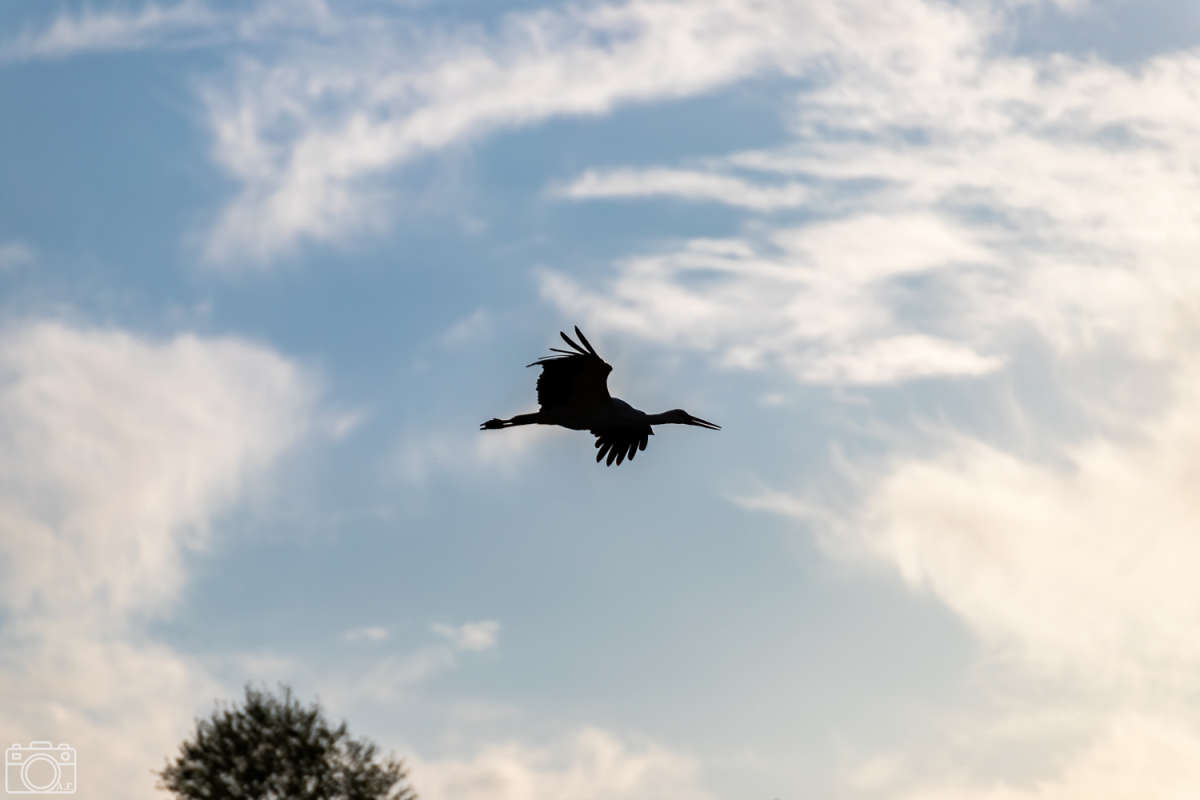 ���� ����� ���������  �� PhotoGeek.ru #�������� ���