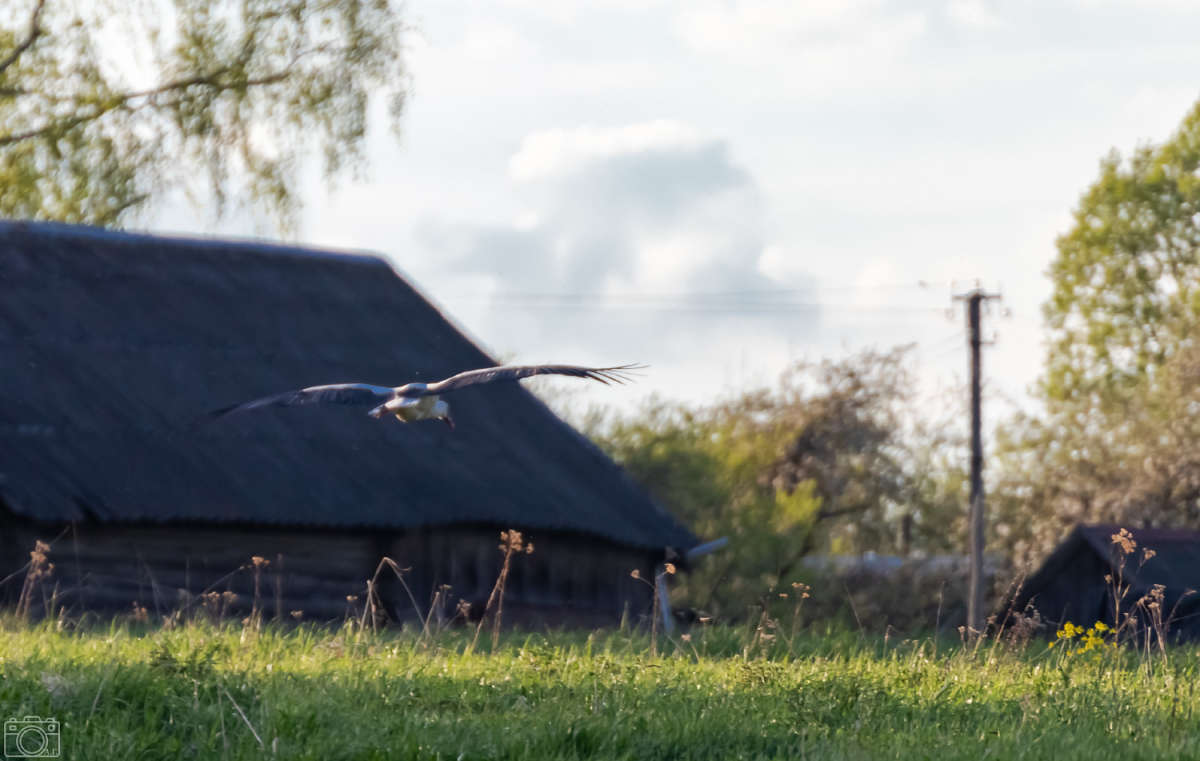 ���� ����� ���������  �� PhotoGeek.ru #�������� ���