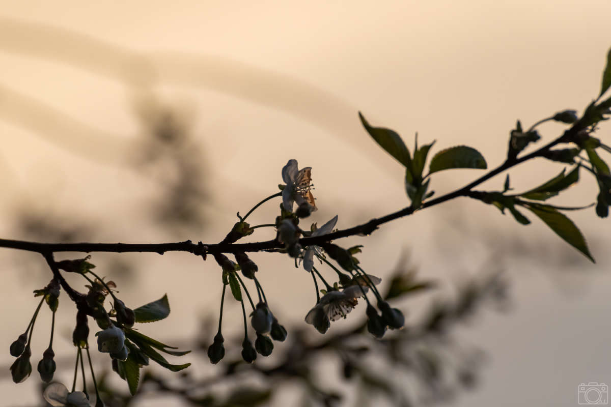 ����� ����� ���������  �� PhotoGeek.ru #������ ��� �������