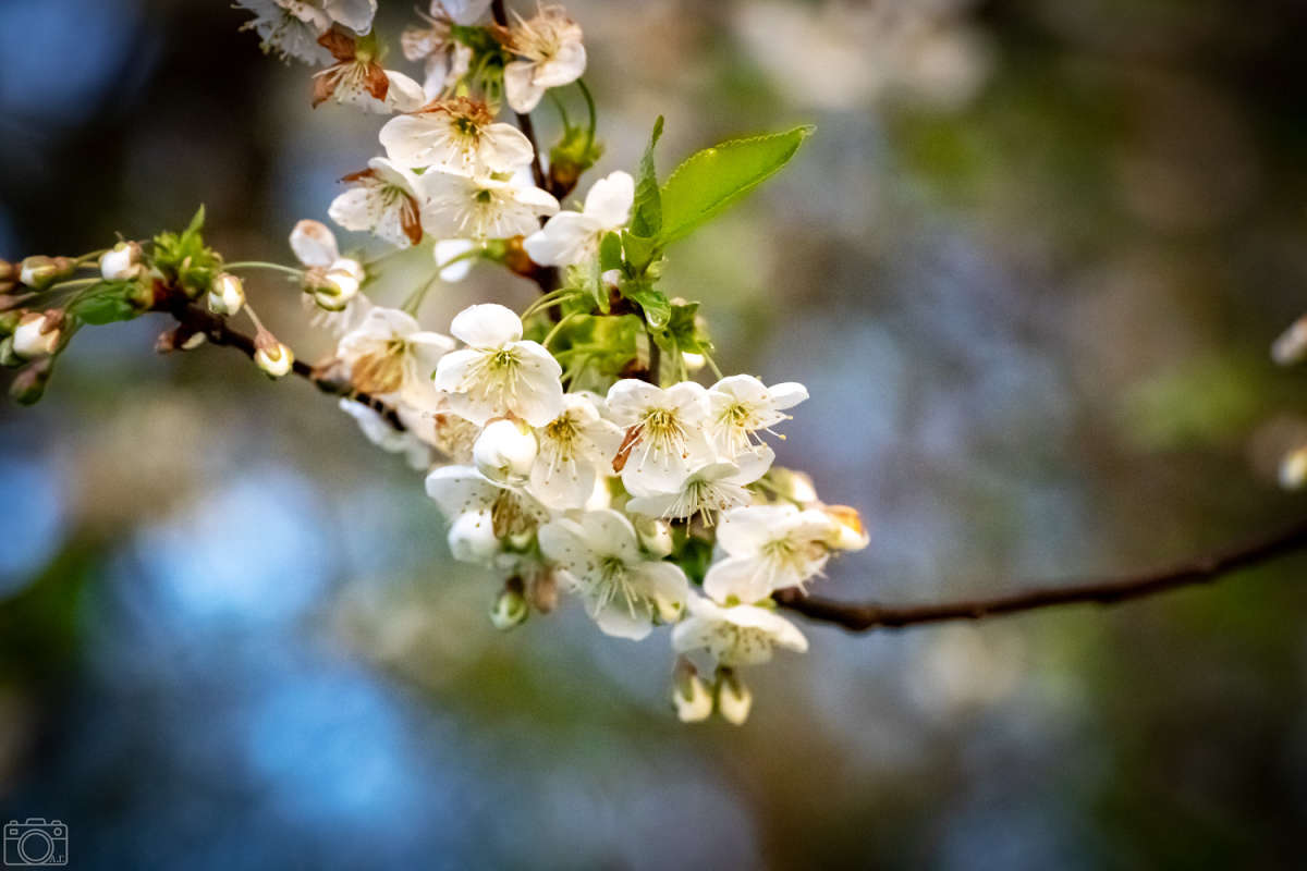 ��� ����� ���������  �� PhotoGeek.ru #������ ��� �������