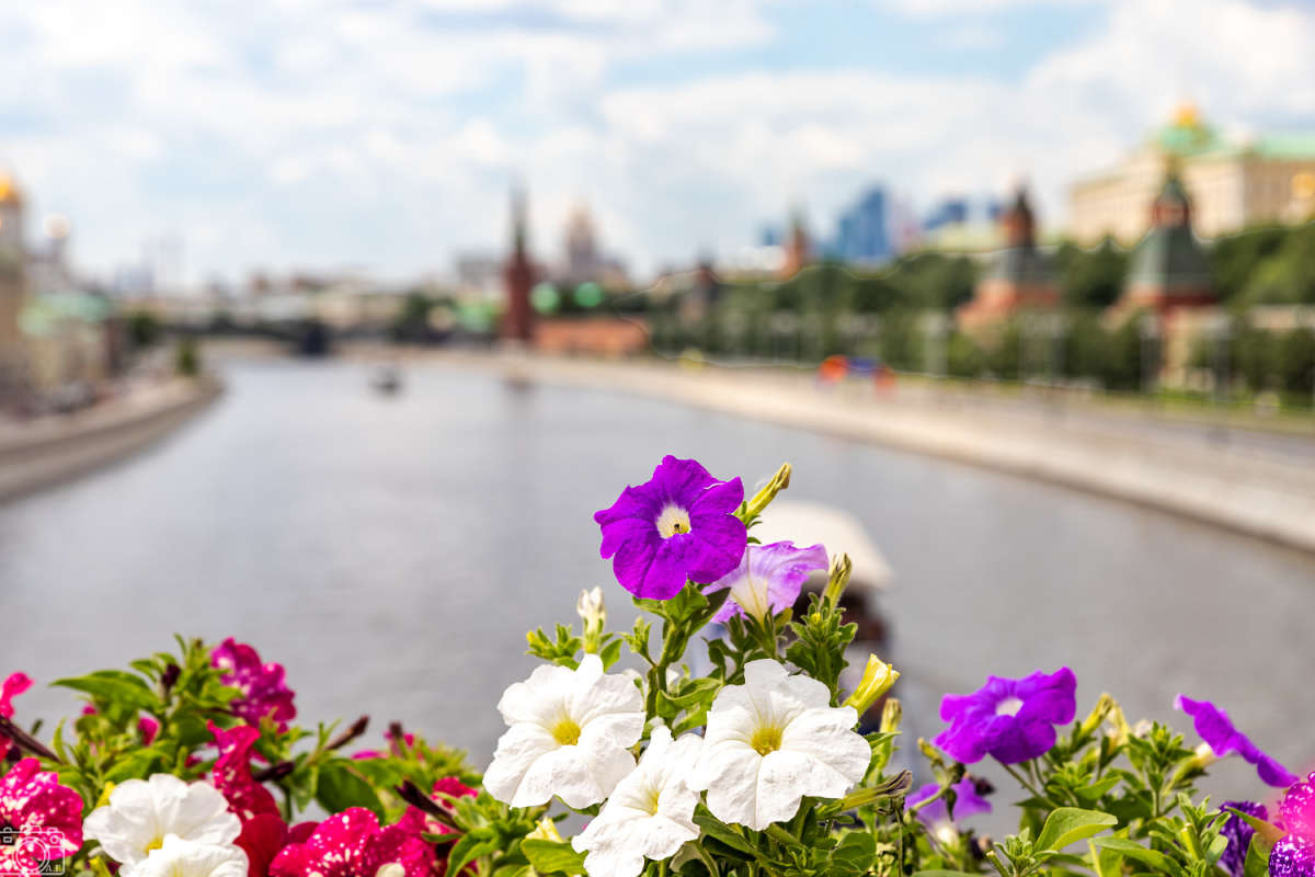 ��������� ������ ����� ���������  �� PhotoGeek.ru #����� #�������� ����������