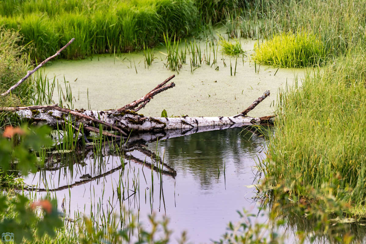 ����� ����� ���������  �� PhotoGeek.ru #������ ��� �������