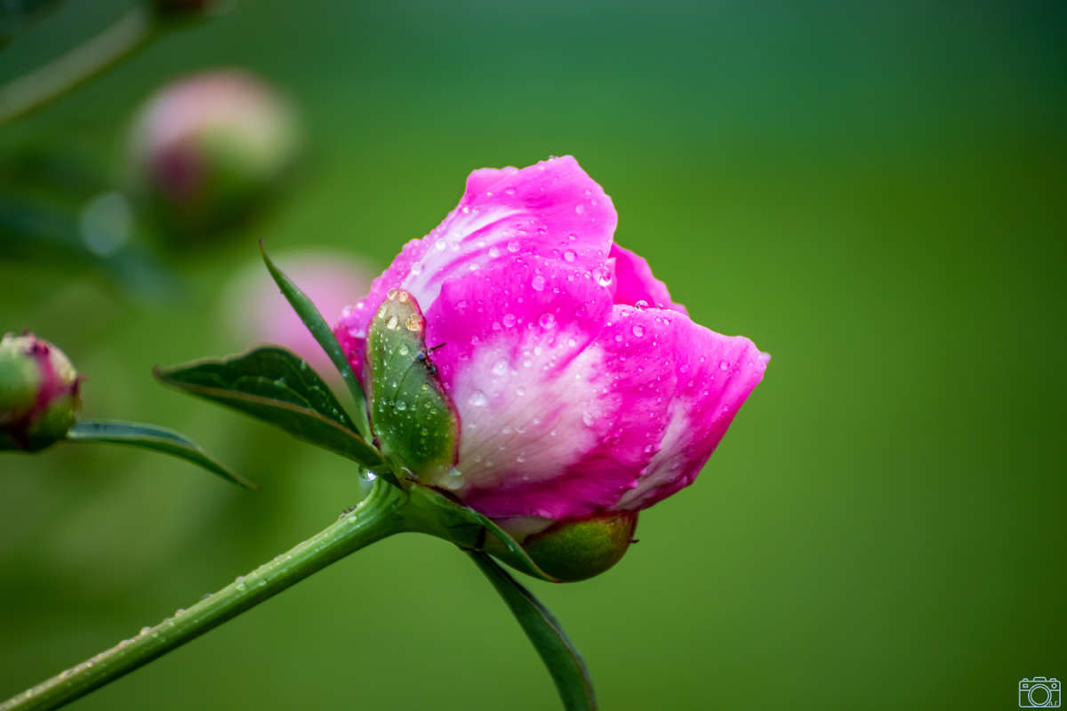 �������� ����� ���������  �� PhotoGeek.ru #������ ��� �������