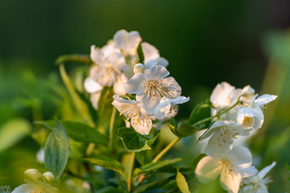 ����� ����� ���������  �� PhotoGeek.ru #������ ��� �������