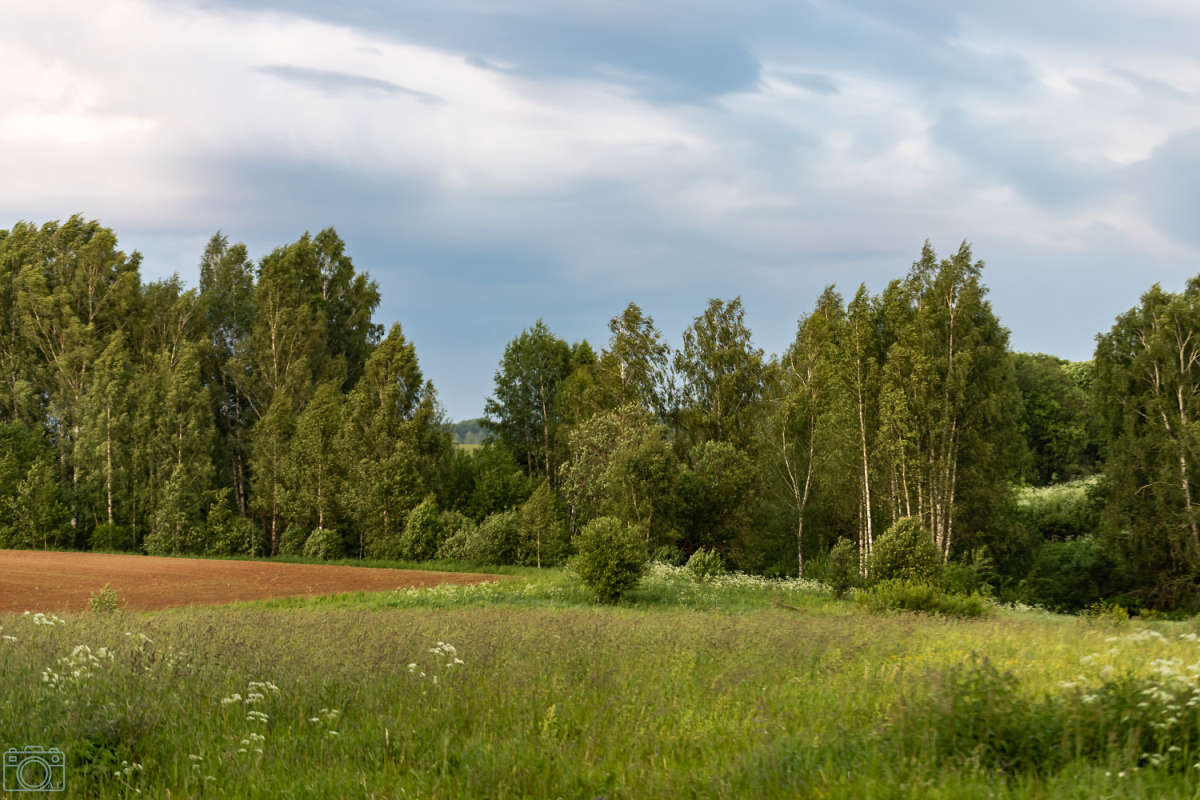 ���� ����� ���������  �� PhotoGeek.ru #������ ��� �������