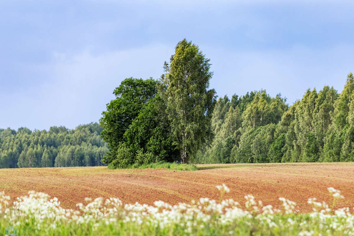 ���� ����� ���������  �� PhotoGeek.ru #������ ��� �������