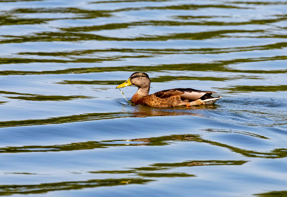 ������ ����� ���������  �� PhotoGeek.ru #�������� ���