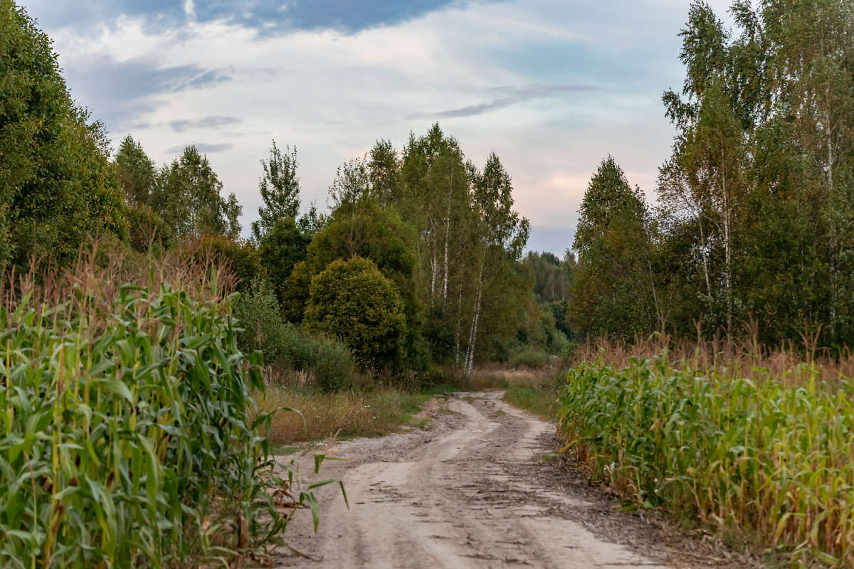 � ���� ����� �������� ����� ���������  �� PhotoGeek.ru #������ ��� �������