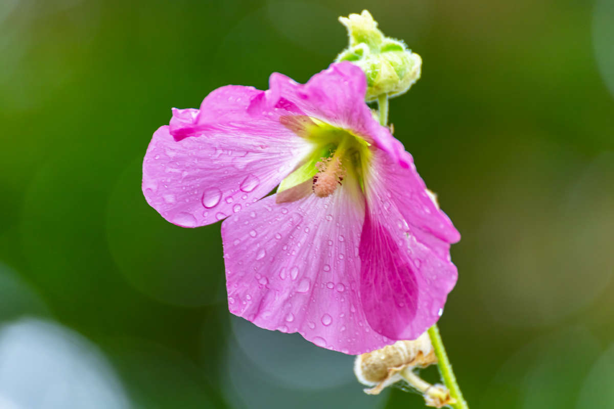 �������� ����� ���������  �� PhotoGeek.ru #������ ��� �������