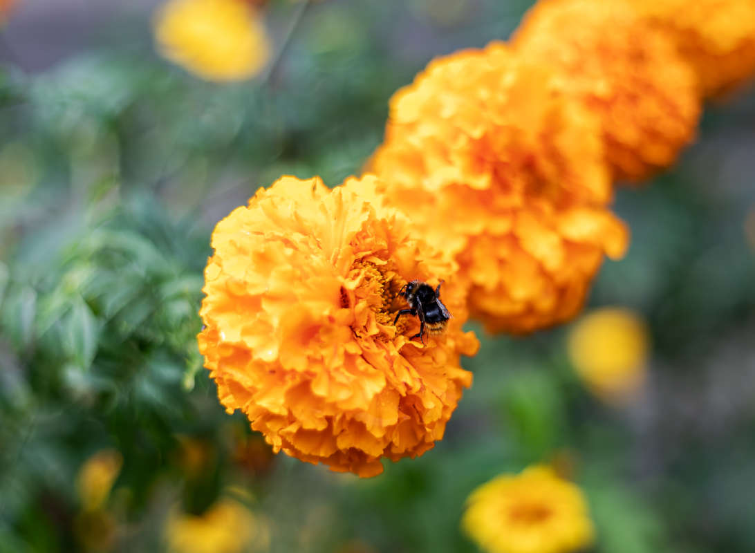 ������ ����� ���������  �� PhotoGeek.ru #������ ��� �������