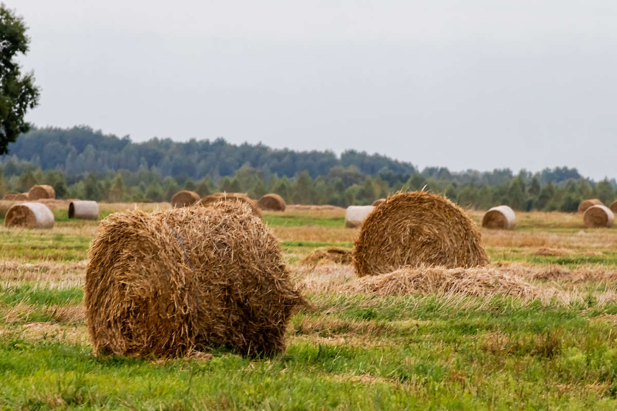 ������ ����� ���������  �� PhotoGeek.ru #������ ��� �������