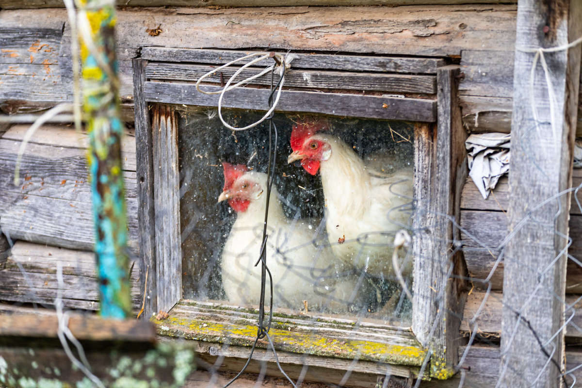 �� ����� ����� ����� ���������  �� PhotoGeek.ru #�������� ����������