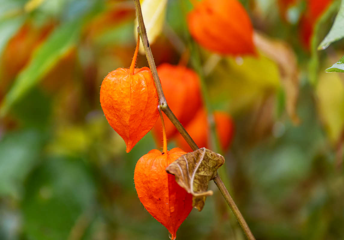 0 ����� ���������  �� PhotoGeek.ru #������ ��� �������