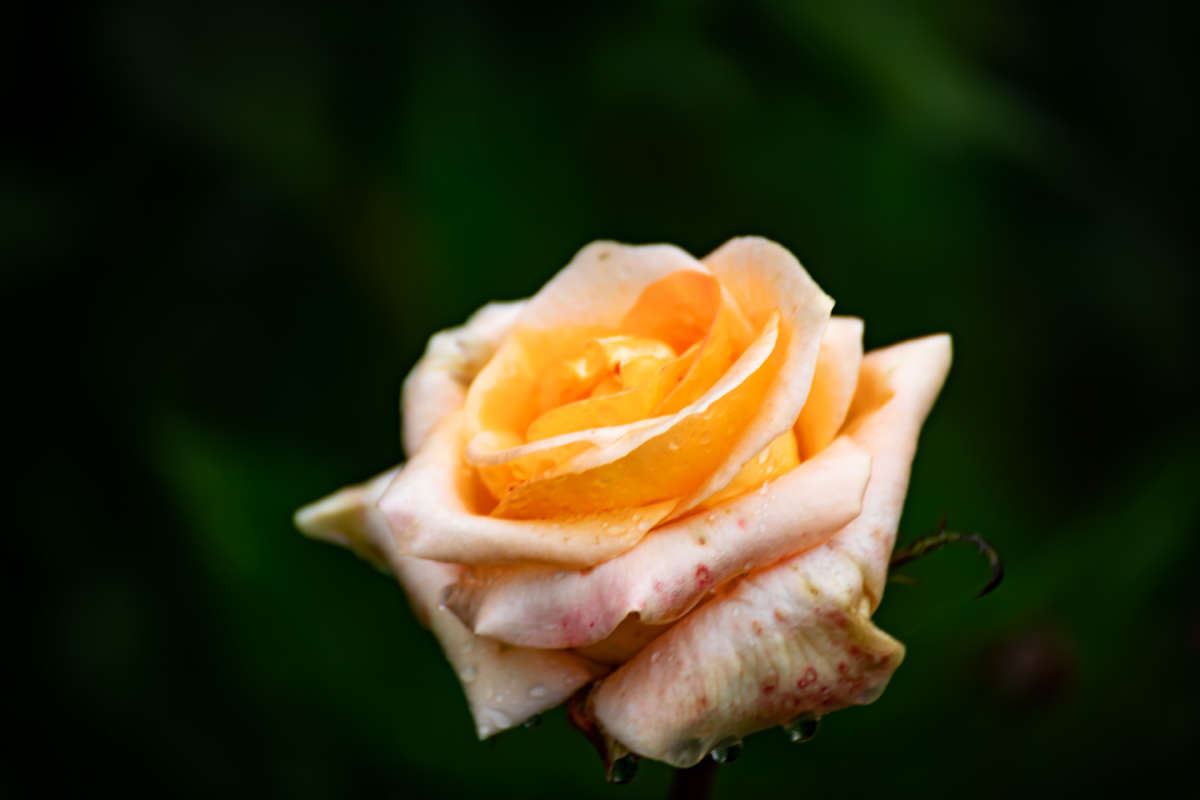 ���� ����� ���������  �� PhotoGeek.ru #������ ��� �������