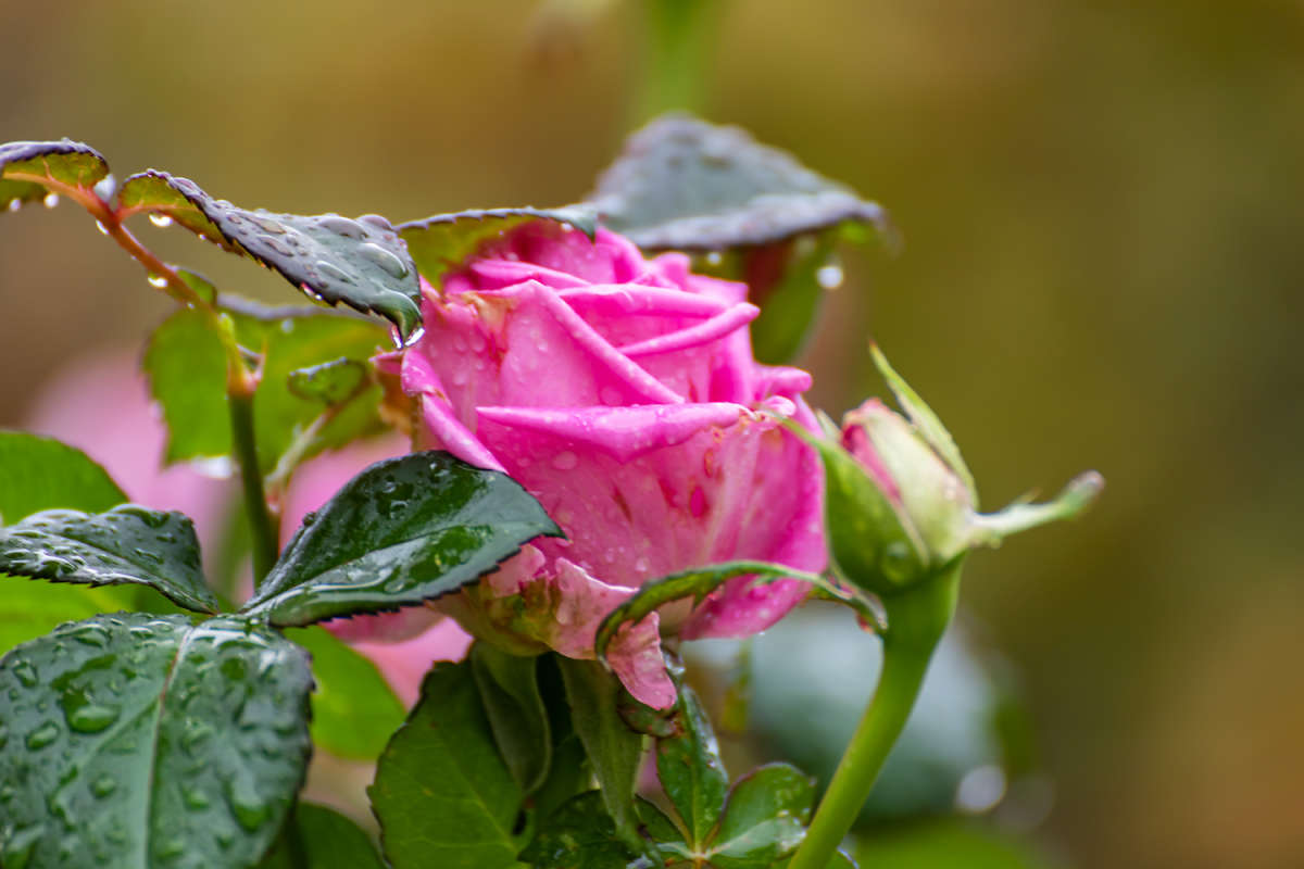 ���� ������� ����� ���������  �� PhotoGeek.ru #������ ��� �������